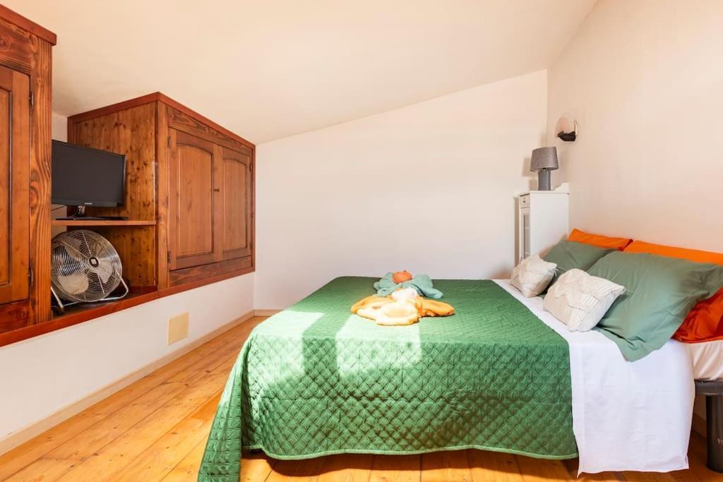 Apartament Casa Nel Corso Pitigliano Zewnętrze zdjęcie
